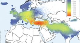 Studie: Die Deutsche Sprache kommt aus Anatolien